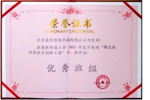 鼎实创新荣获2009年度“群众性经济技术创新工程”优秀班组称号